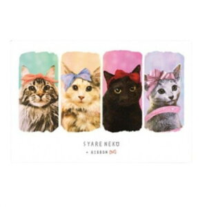 �Ƃ��Ƃ��T�[�J�X �|�X�g�J�[�h �L/�l�R �uSYARENEKO×RIBBON�v 5���Z�b�g ST-PC-029