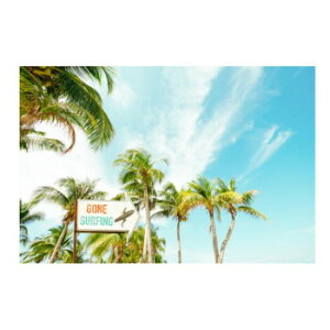 KXA[gsN`[L N DE056784