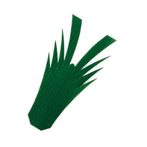 nƁ@o@CV^1@(1000)@XBL06