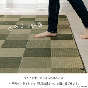 ubN O 261×352cm ]ˊ6 CgO[ 1080450210602