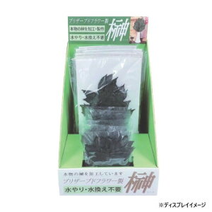 p()@vU[uh@̔pP[XZbg@O[@H80040