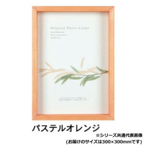 A.P.J. BOXt[ A[g{bNXt[(:35mm) 30pTCY(300×300mm)@pXeIWE0021768153