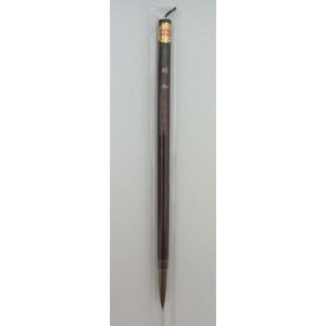 12070@h@ȏ𕝗pM@a@C^`