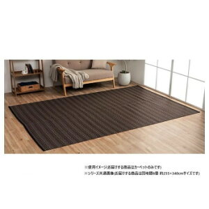 { 􂦂邢J[ybg uE cn6 255×340cm 1090031060502