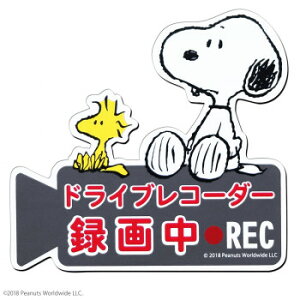 SNOOPY hCuR[_[}OlbgTC Xk[s[ SN61