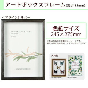 A.P.J. BOXt[ A[g{bNXt[(:35mm) FTCY(245×275mm) wACVo[ 0021768542