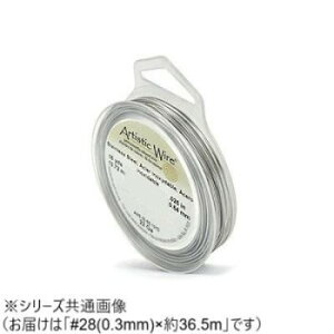 AW C[iI[hXv[Xj XeXXeB[28(0.3) 28i0.3mmj36.5m