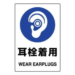 JISKiXebJ[ 𒅗p 5g 803-45B