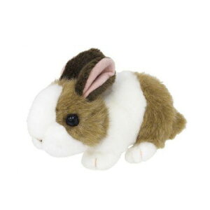 g@肭̂Ȃ܂@ʂ݁@ETM@uE@180499