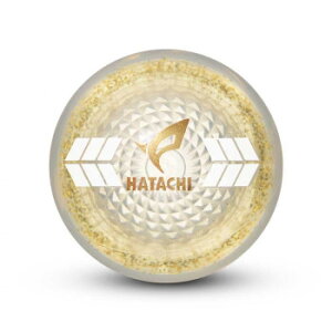 HH PGGA{[ NA PH3841-02