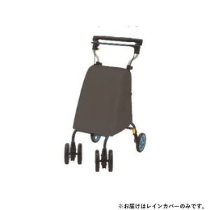 EBY Cg~jGNACgXebv^Cj[V[Y CJo[ RAIN-LMGW