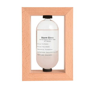 JYƁ@Fun Science@Xg[OX@333-271