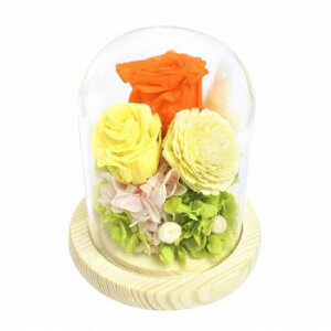 KXh[AWg \C@IW+CG[@B14835