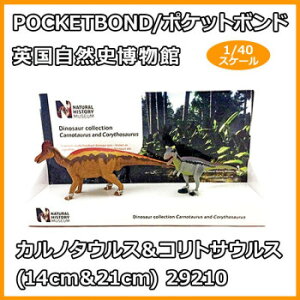 POCKETBOND/|Pbg{h pRj Jm^EXRgTEX(14cm21cm) 29210