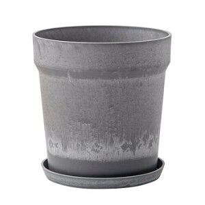 81056 A[ovc|bg \bh ZT~