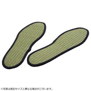 C\[@fB[X wC\[x lCr[ 24cm 3658549