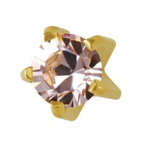 JPS セイフティピアッサー 耳用ロングタイプ ゴールドカラー(純金処理医療用ステンレス) 6月 7M106YL