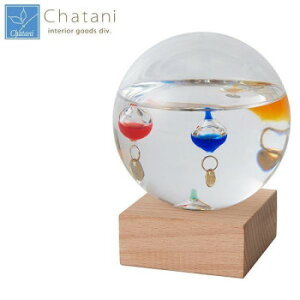 JY Fun Science t@TCGX KXt[gxv h[S 333-209