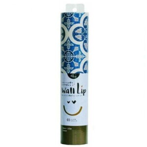 WallLip �|�C���g���C�N�p�E�H�[���y�[�p�[ ��28cm×2.5m �^�C��BL WL-280305