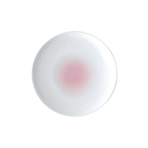 NIKKO(jbR[) CLOUD(NEh) 27cmv[g DUSTY PINK(_XeBsN) 11825-1277