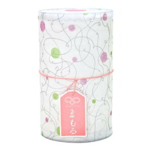 nN]EfBJ ݁w܂x 1 Mbg 2590112