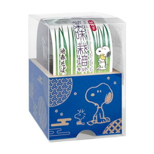 PEANUTS×rX 򖡍͔|Lbg SI1500