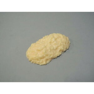 脂肪模型 500g IP-969