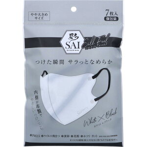 (SAI) VNtB[}XN  傫߃TCY zCg×ubN 7