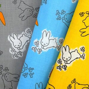 sIyV[`Oz fBbNEu[i ~btB[ z n w  Rbg obO }XN G{