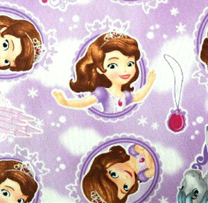 2020Nbts wt@ubN@uȃvZX jR[ƃvZXv/n/z//LN^[/fBYj[//w/ʉ/obO/