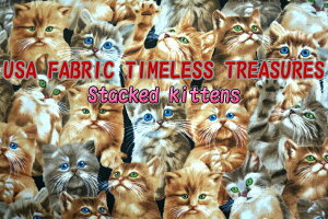 LDW܂IUSARbg@^CXgW[uStacked Kittensv/AV[Y/L/L/lR/n/z/