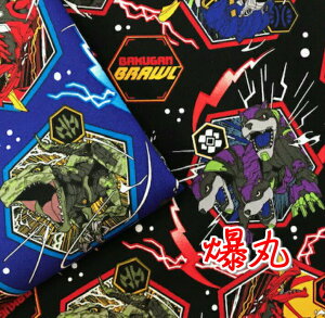 ہI/BAKUGAN///w/ʉ/obO/n/z//