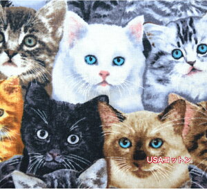 yUSARbgzyxCr[LbczTimelessTreasure/Rbg/An/z/}XN//m/AJ/L/˂/lR