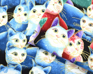 USARbg benartexuFace of the catvL̊  n z Rbg100 L ˂ lR benartex An