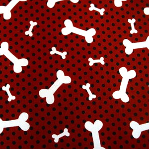 yUSARbgzBenartex uhbgƃ{[EuEvn@w/hbg/ {[ An AJ