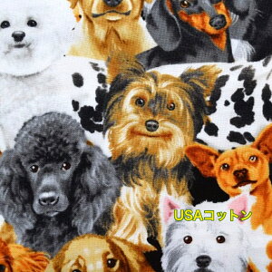 yUSARbgzytimeless Treasurez/ẼW/Rbg/An/z/}XN/ / m/ AJ/ Ck//