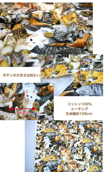 楽天市場】【USAコットン】【ネコちゃんいっぱい♪】猫生地 コットン 