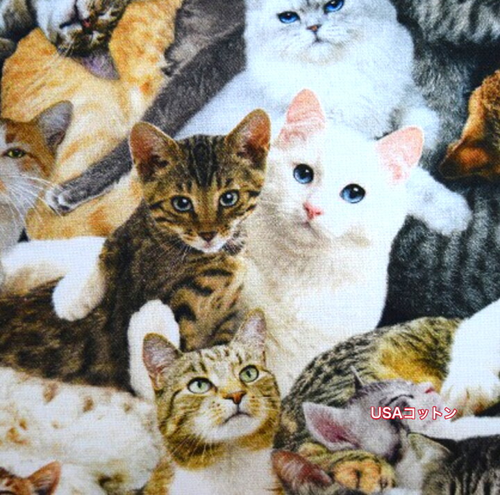 楽天市場】【USAコットン】【ネコちゃんいっぱい♪】猫生地 コットン 