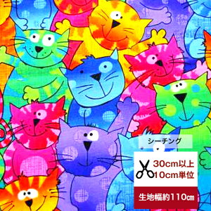 USARbg TIMELESS TREASURES ucolorfuljȒsiv n z  An uhn USA V[`O AJ Jt L ˂ cat u[ IW sN p[v O[