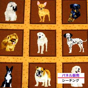 ypl̔zUSARbg udog framev hbOt[ t@ubN  dog n z  An uhn USA V[`O pl |jA _VA