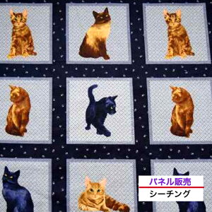 ypl̔zUSARbg ucat framev Lbgt[ t@ubN L cat n z  An uhn USA V[`O pl L g