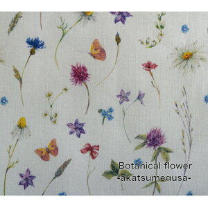 yV[`OzyfW^vgzbotanical flower-akatsumegusa-/Rbg100//z/w/}XN/t[/ԕ/{^jJ/A AJcOT