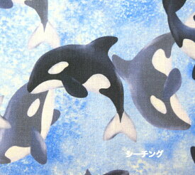 楽天市場 シャチ 生地の通販 楽天市場 シャチ 生地の通販