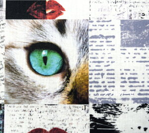 y_uK[[zyfW^vgzuEyes MouthCatsv Rbg100 n z  }XN pW} fW^vg xr[pi s j[Xy[p[ L ˂ lR O