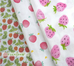y_uK[[zōuStrawberry partyv Rbg100 Xgx[ p[eB[ n z  K[[n 䕁@C`S  fW^vg }XN xr[pi
