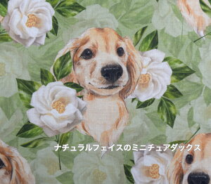 V[`OoyV[`Oz/ũ~j`A_bNXv/fW^vg/Rbg100 /z/ w/ //ԕ/Jo[O////Ck Gribanessa