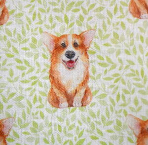 ꑫɃV[`O/ũR[M[v/Gribanessa/ Rbg100// z/ w/ / / Jo[O //Dog//R/Ck