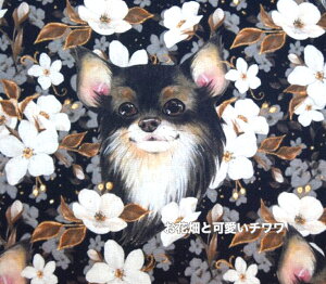 V[`OoyV[`Oz uԔƉ`v Gribanessa Rbg100 // z /w/ / / Jo[O ԕ/  Ck t[ fW^vg