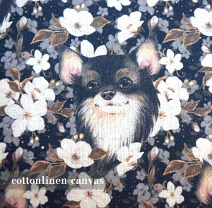 V삨IځyRbglLoXzuԔƉ`v Gribanessa /Ȗ/ z /w/ / / Jo[O ԕ/  Ck t[ fW^vg `