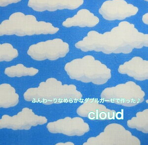 y_uK[[z㎿ȃ_uK[[ōucloudv_  Rbg100 K[[n    fW^vg }XN  nhCh